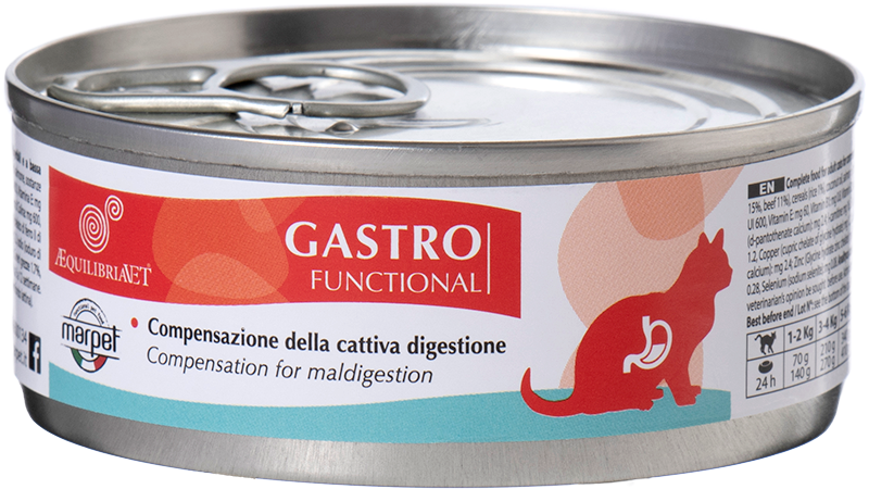 gastro