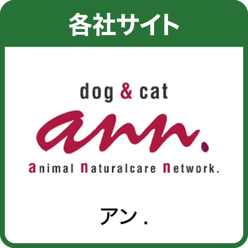 ann.