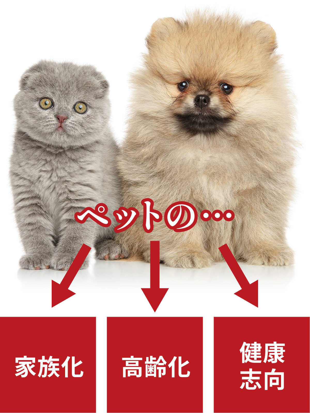ペットの家族化・高齢化・健康志向